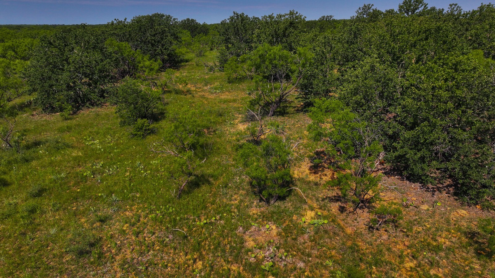 Land for Sale in Young County, TX (29 of 67)