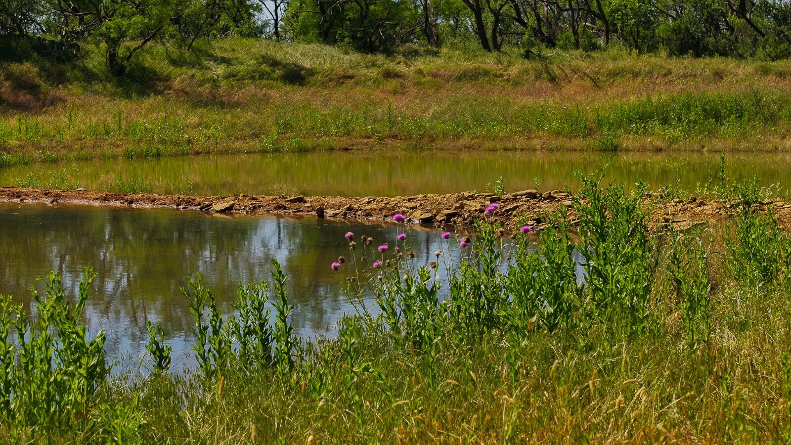 Land for Sale in Young County, TX (30 of 67)
