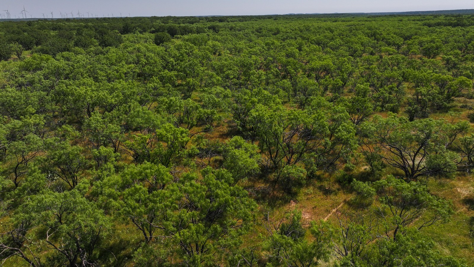 Land for Sale in Young County, TX (31 of 67)
