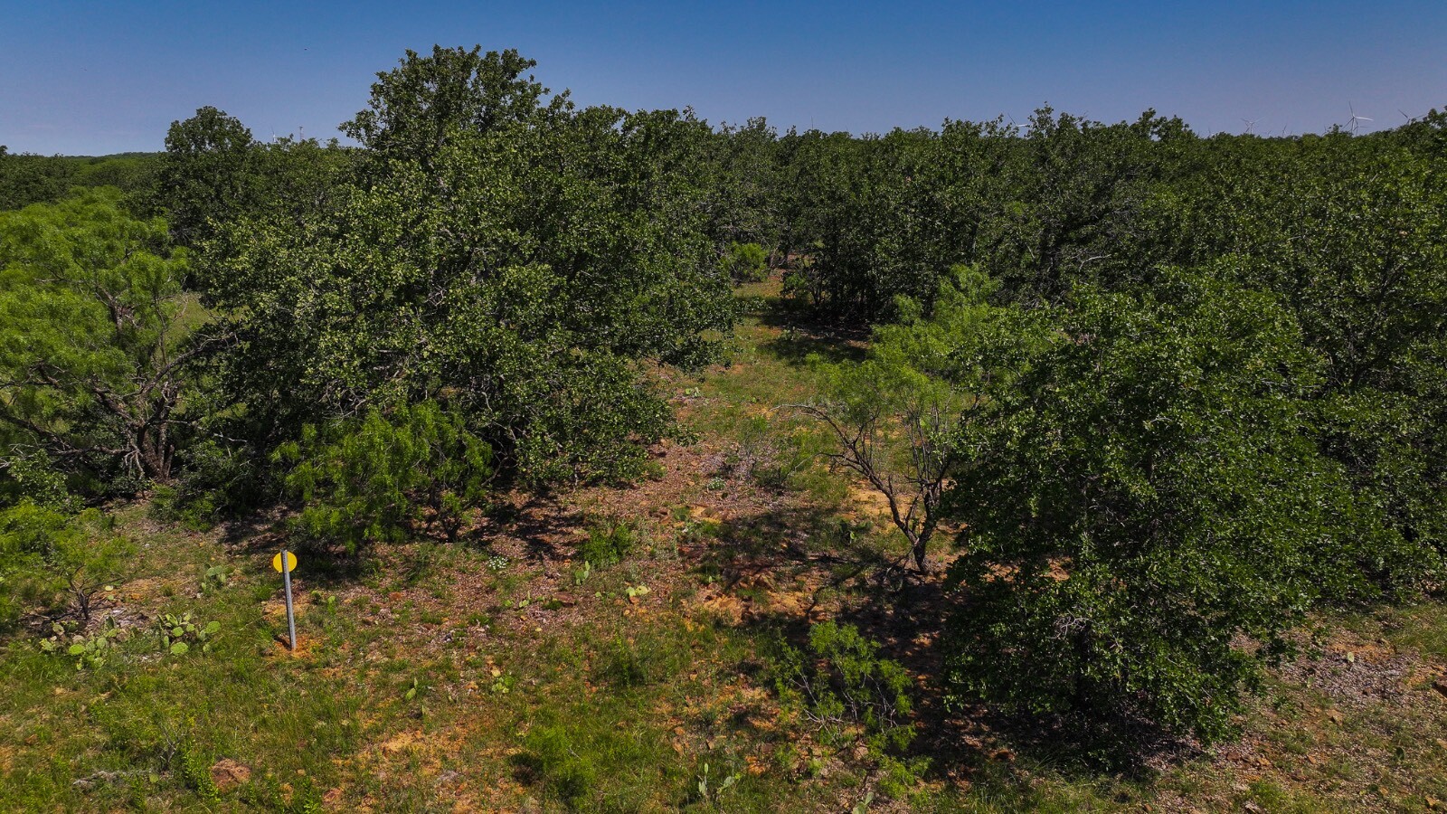 Land for Sale in Young County, TX (33 of 67)