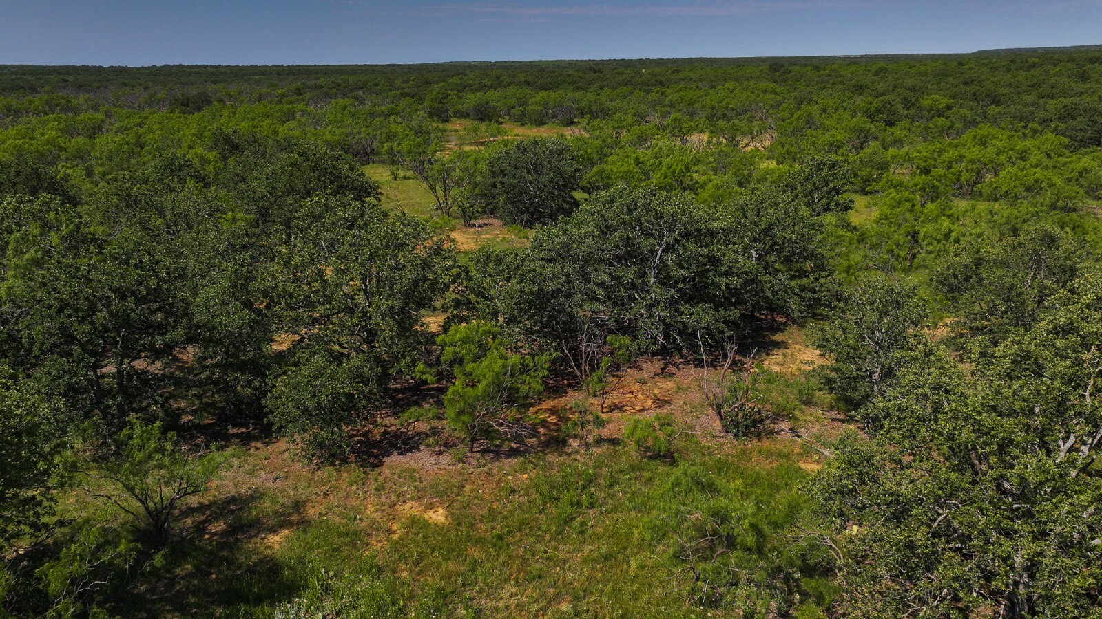 Land for Sale in Young County, TX (34 of 67)
