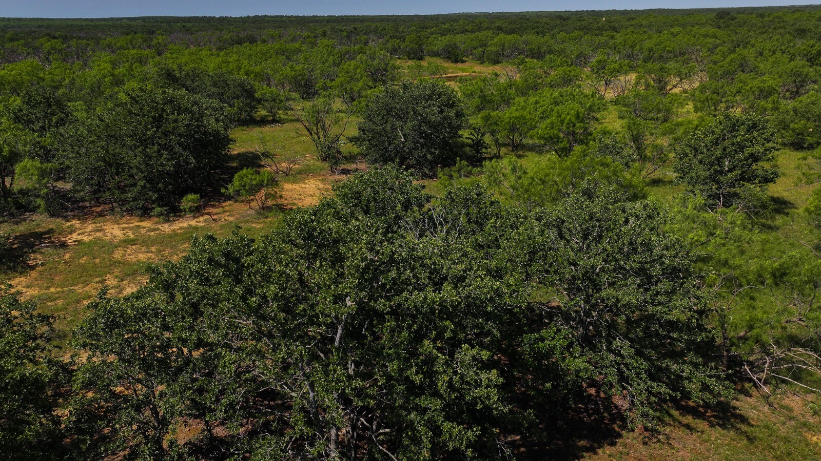 Land for Sale in Young County, TX (35 of 67)