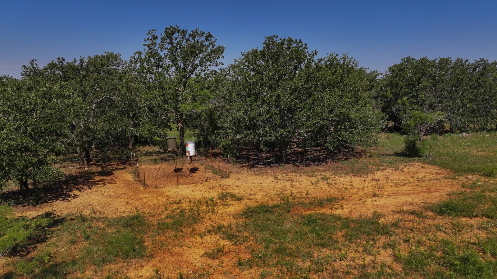 Land for Sale in Young County, TX (36 of 67)