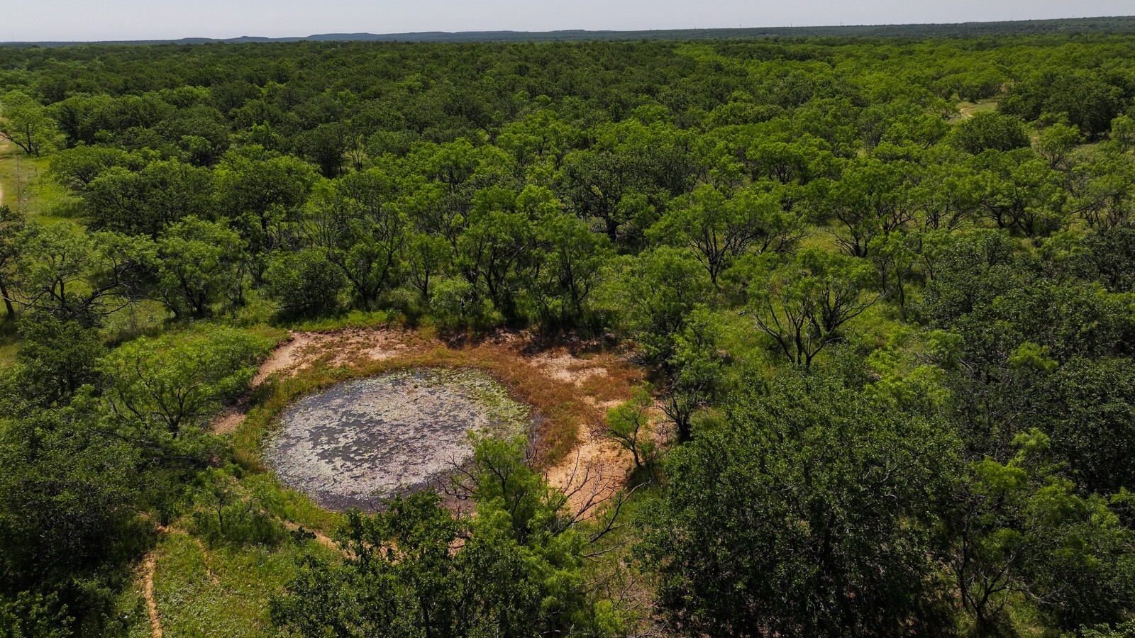 Land for Sale in Young County, TX (39 of 67)