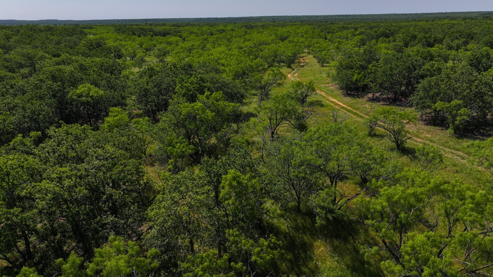 Land for Sale in Young County, TX (40 of 67)