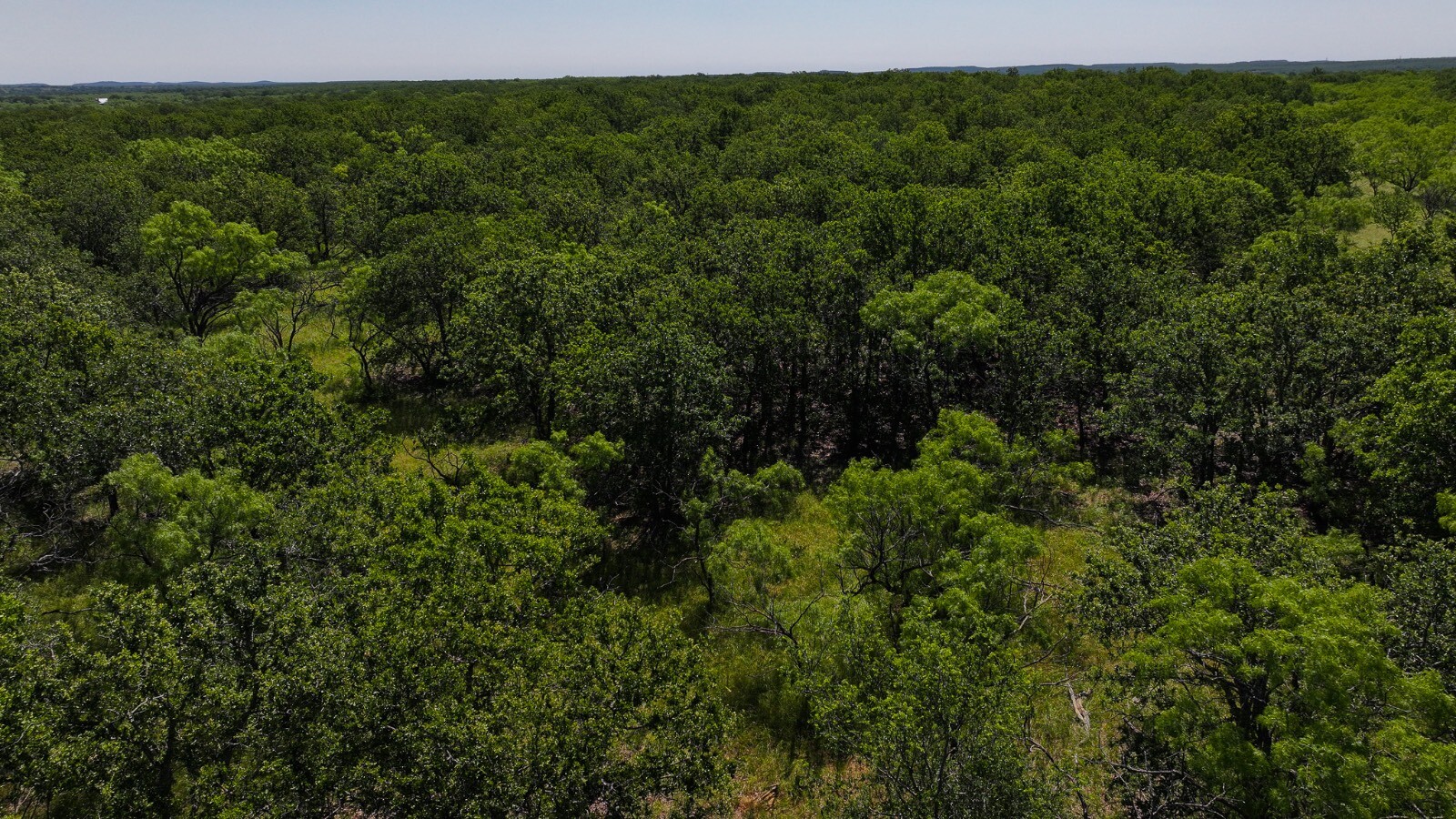 Land for Sale in Young County, TX (41 of 67)