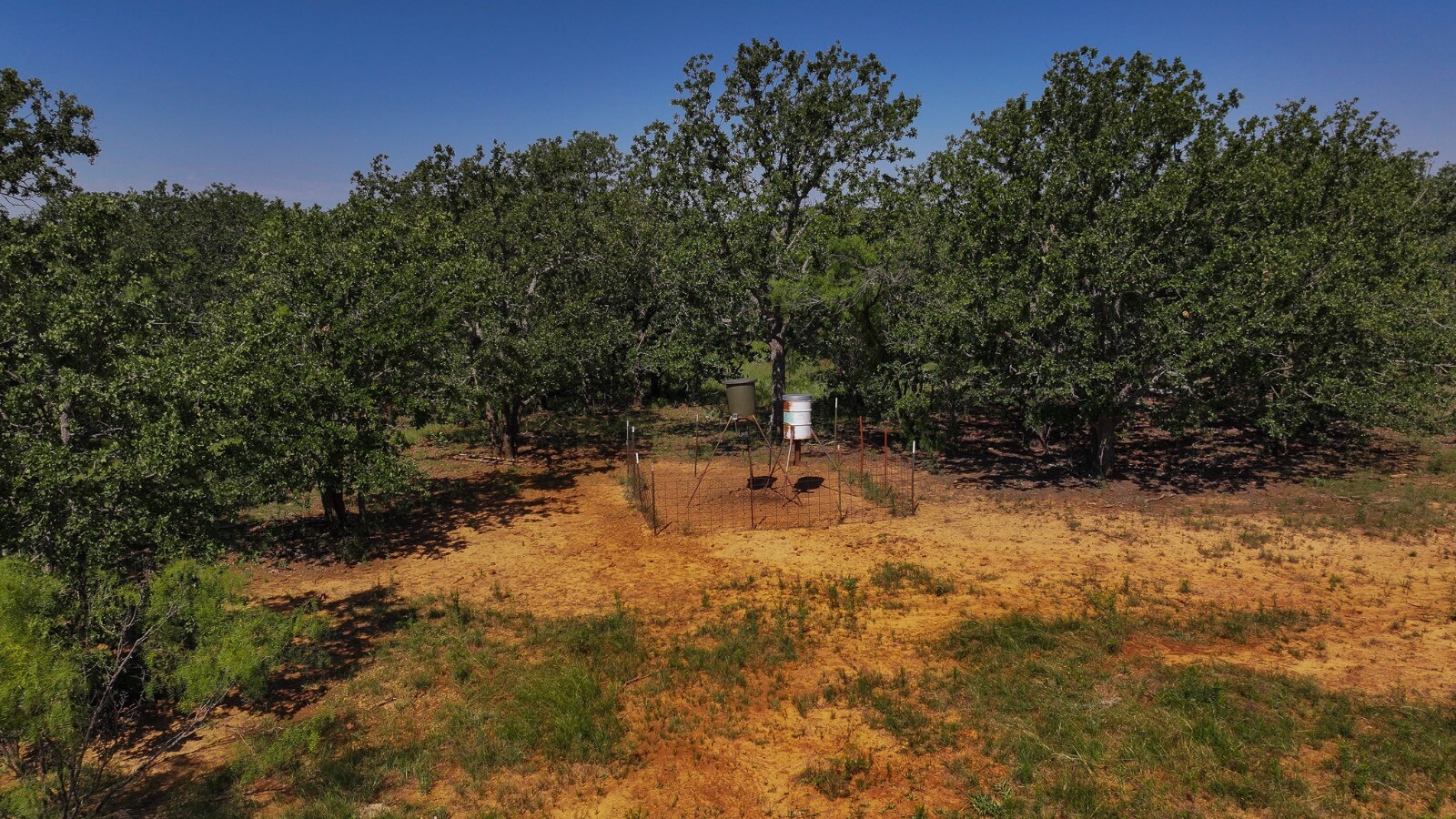 Land for Sale in Young County, TX (42 of 67)