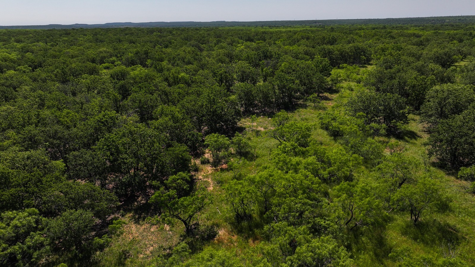 Land for Sale in Young County, TX (43 of 67)