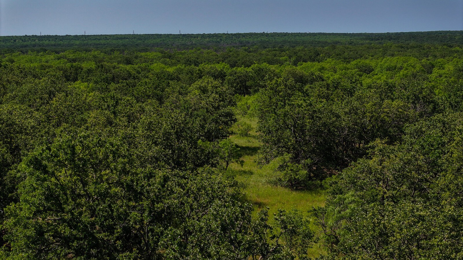 Land for Sale in Young County, TX (44 of 67)