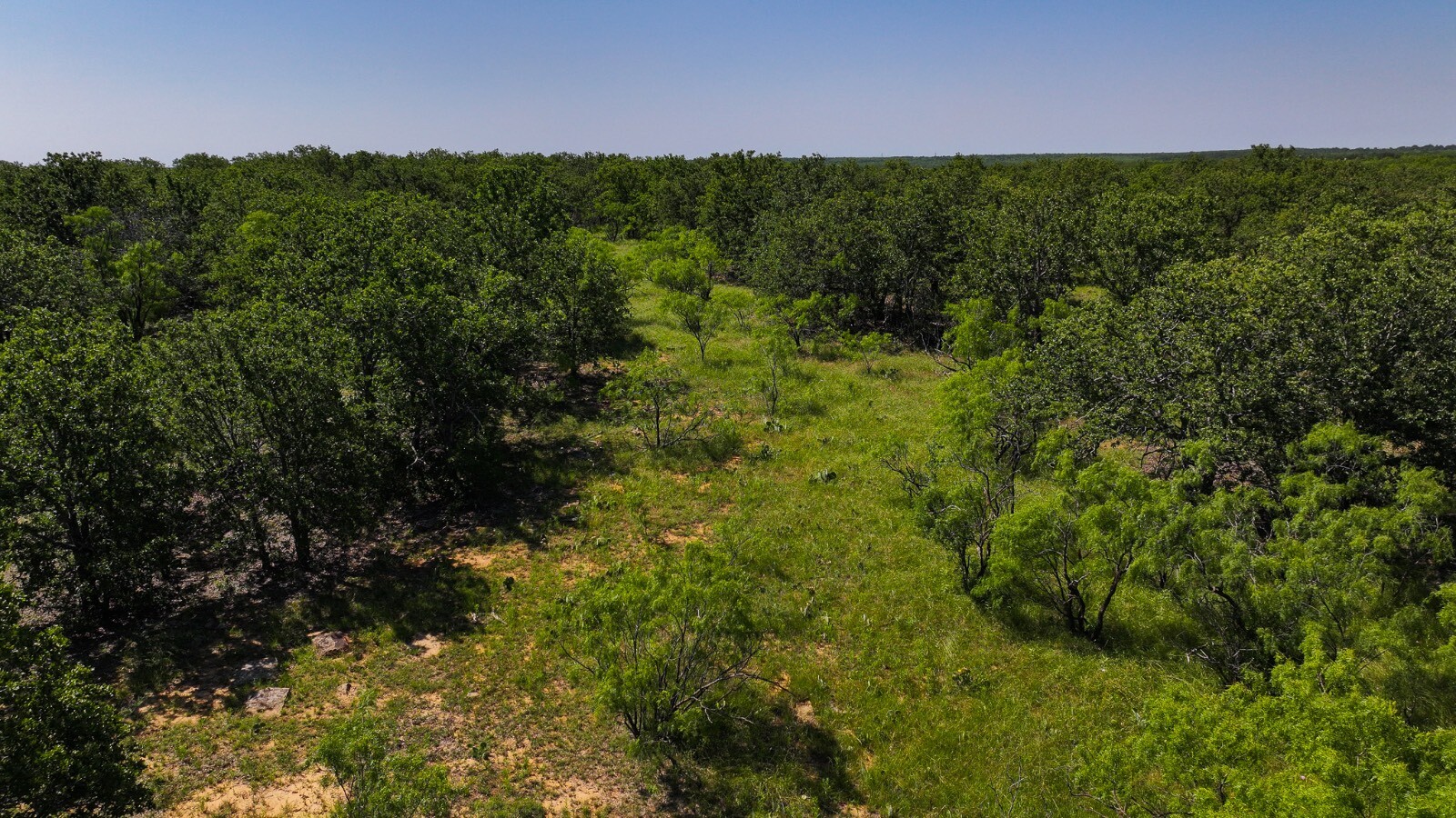 Land for Sale in Young County, TX (45 of 67)