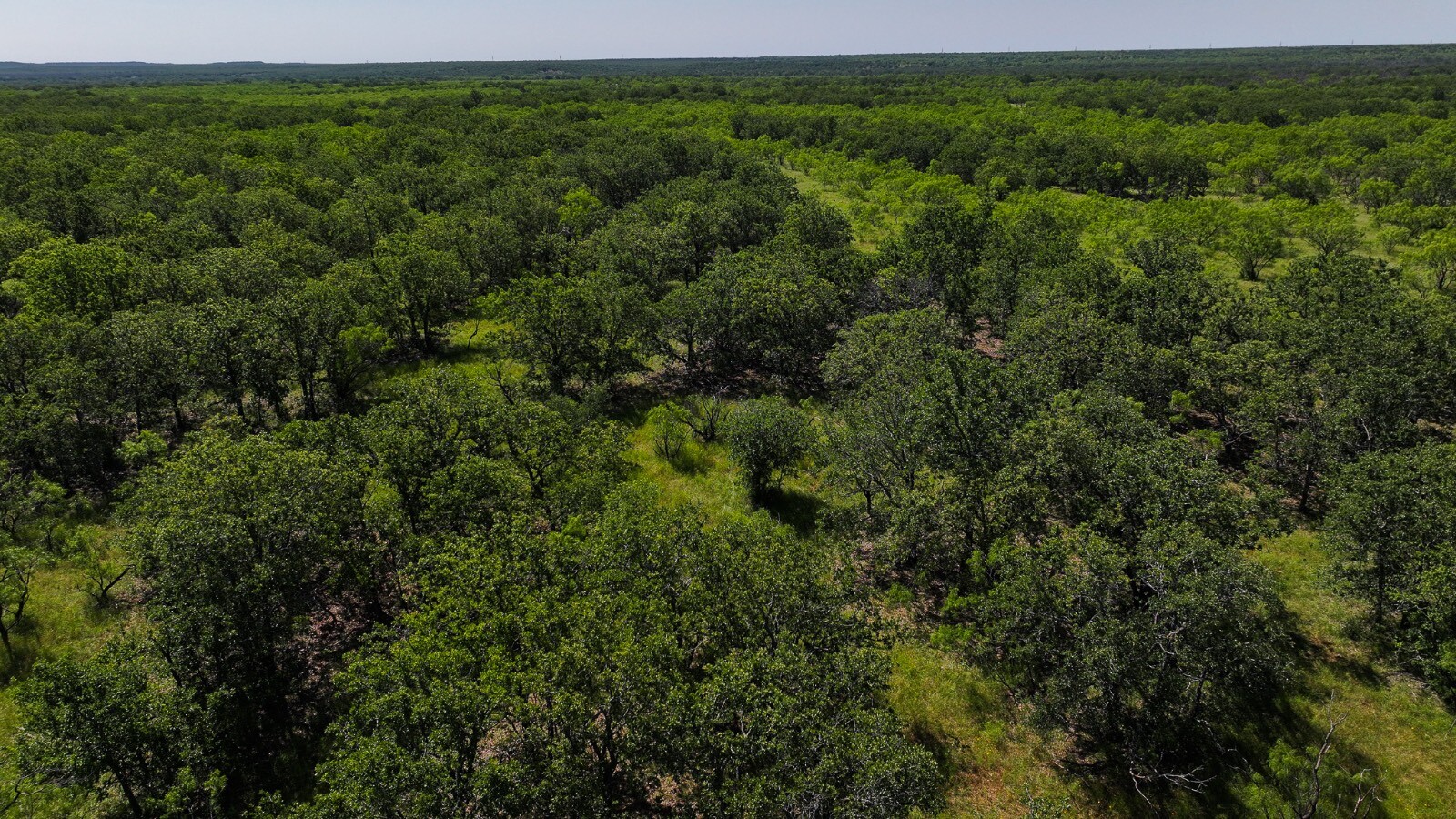 Land for Sale in Young County, TX (46 of 67)