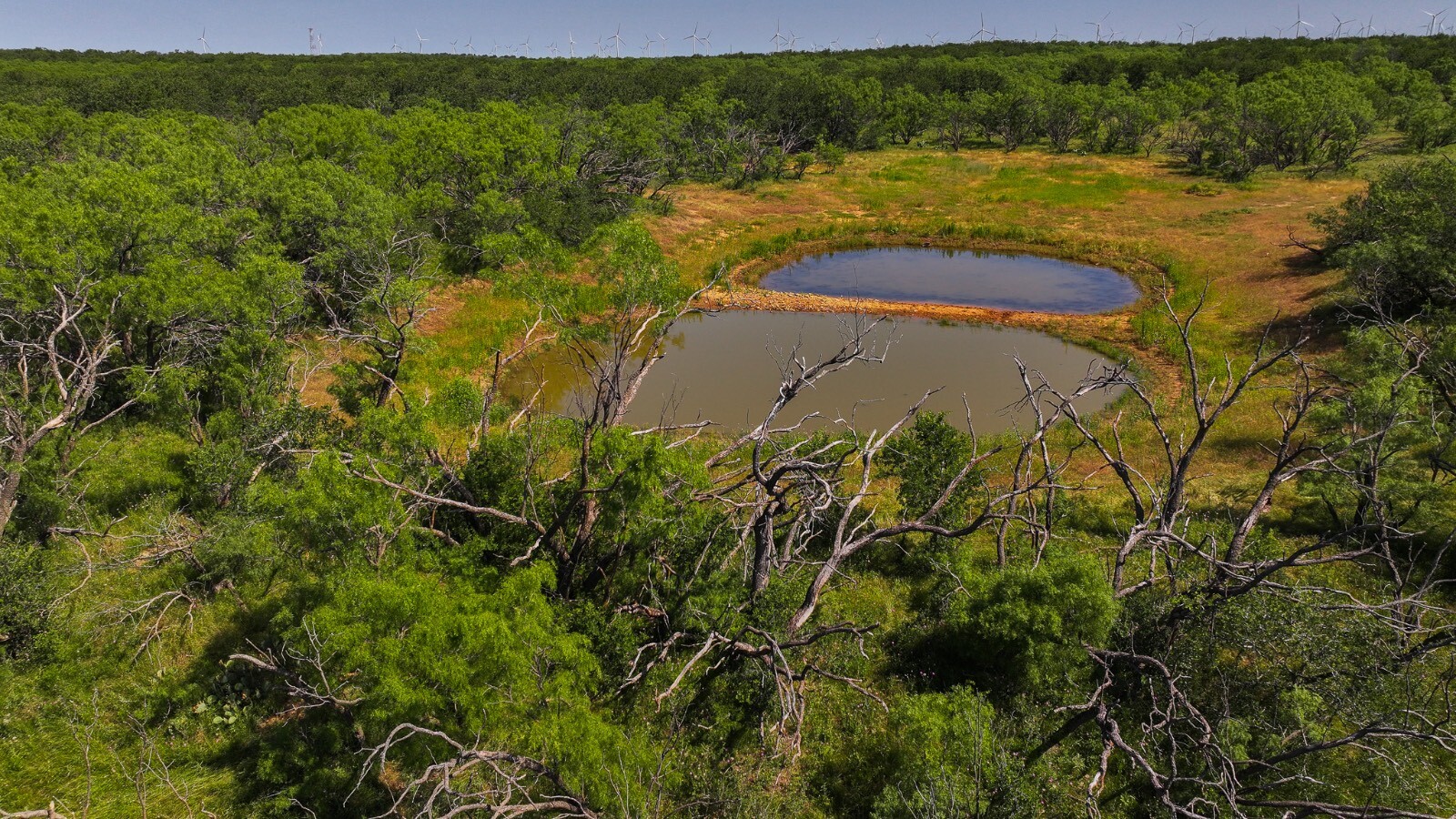 Land for Sale in Young County, TX (47 of 67)