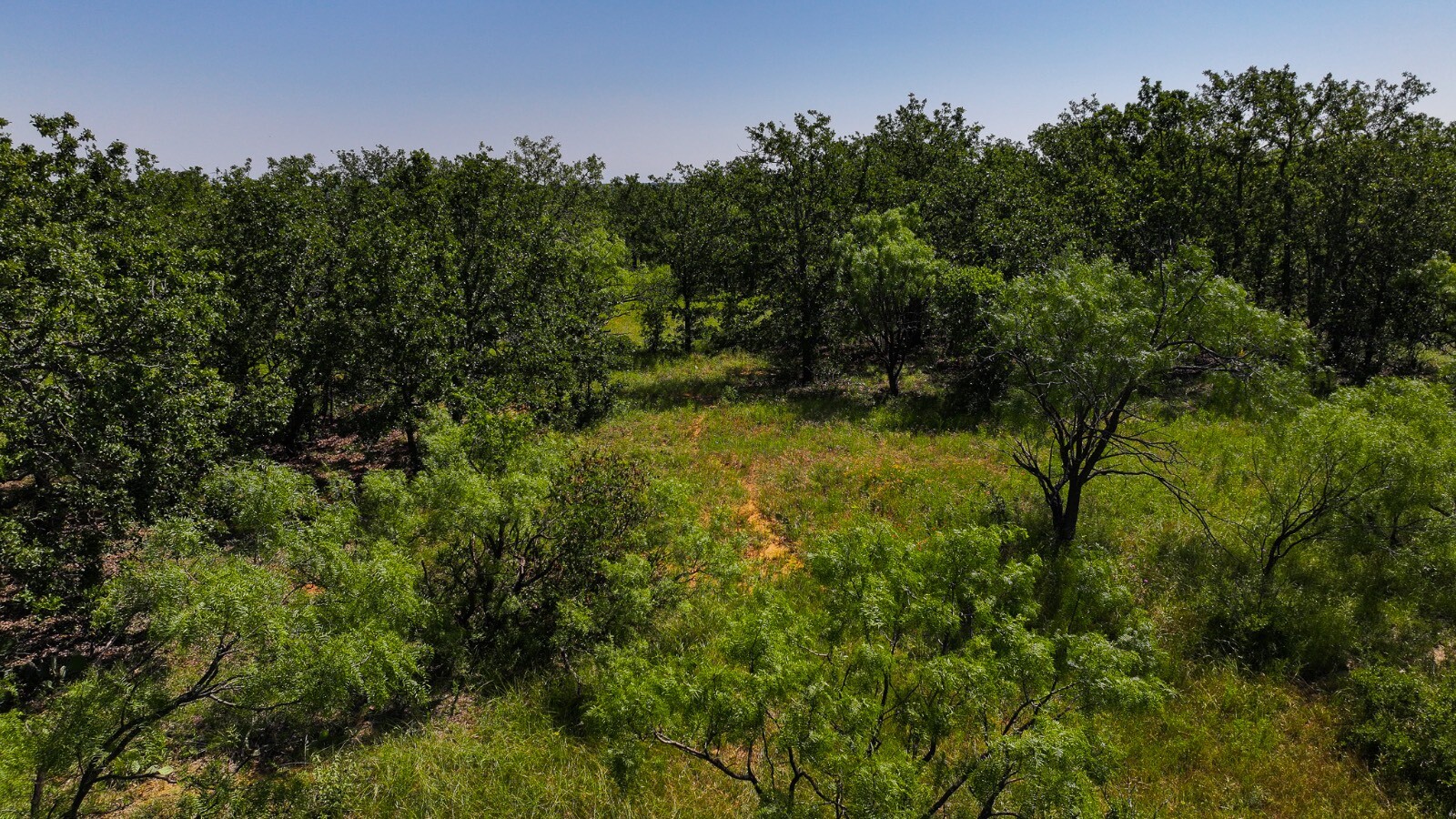 Land for Sale in Young County, TX (48 of 67)