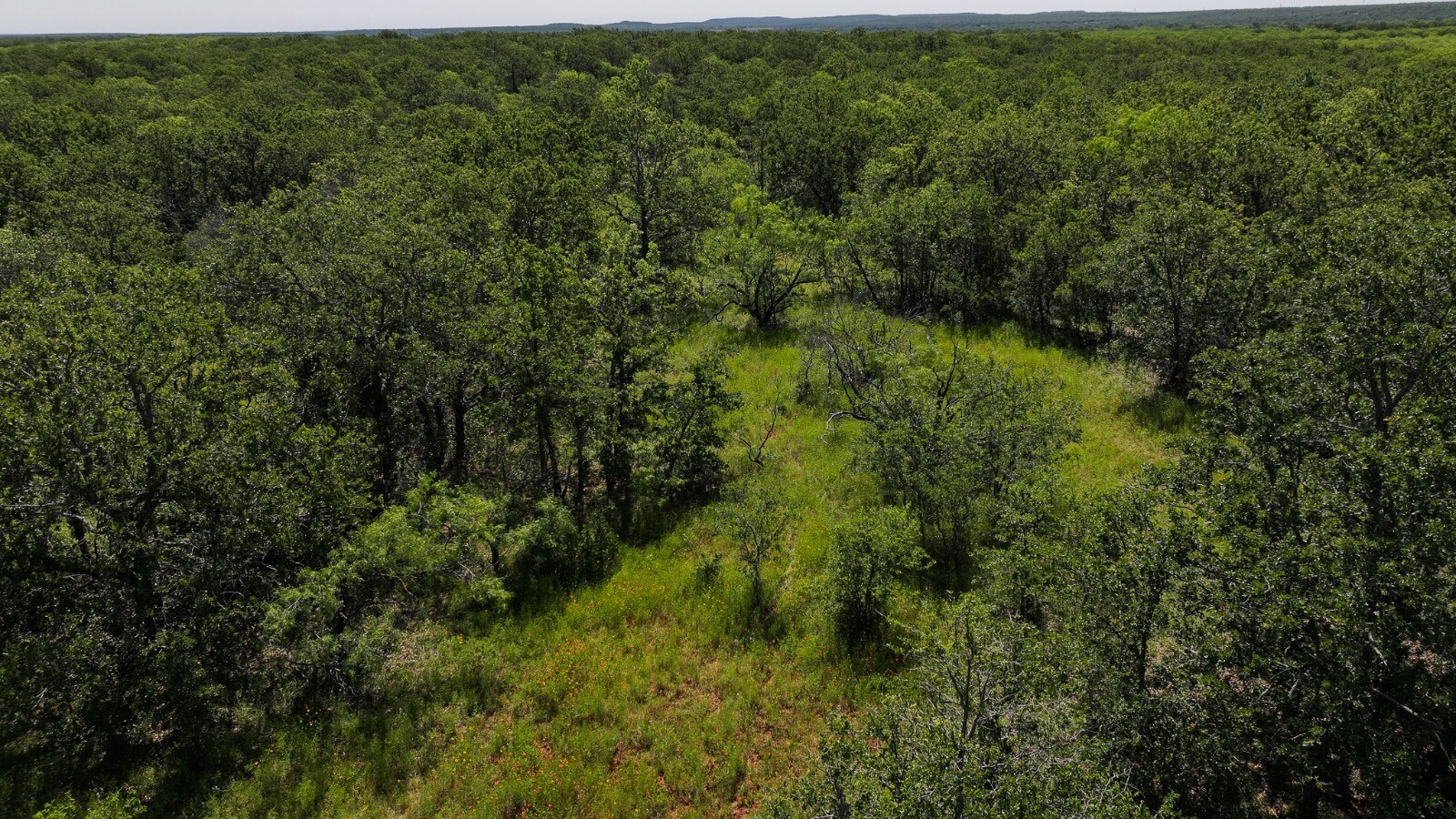 Land for Sale in Young County, TX (49 of 67)