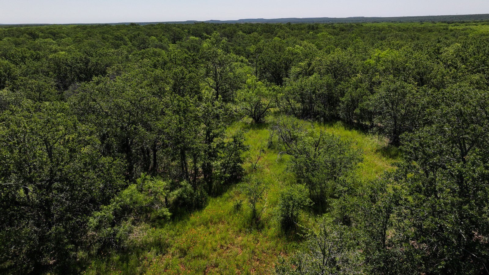 Land for Sale in Young County, TX (50 of 67)
