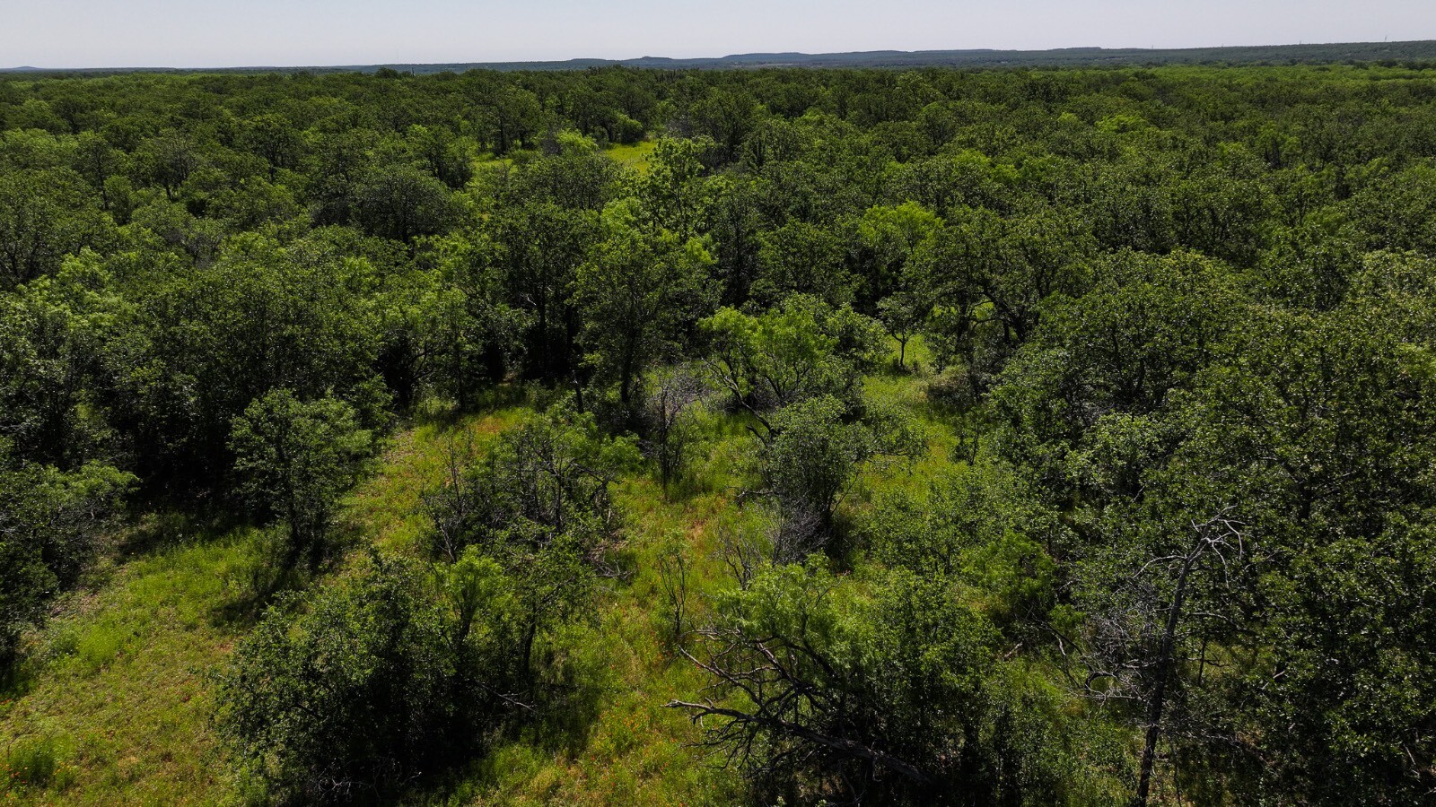 Land for Sale in Young County, TX (51 of 67)