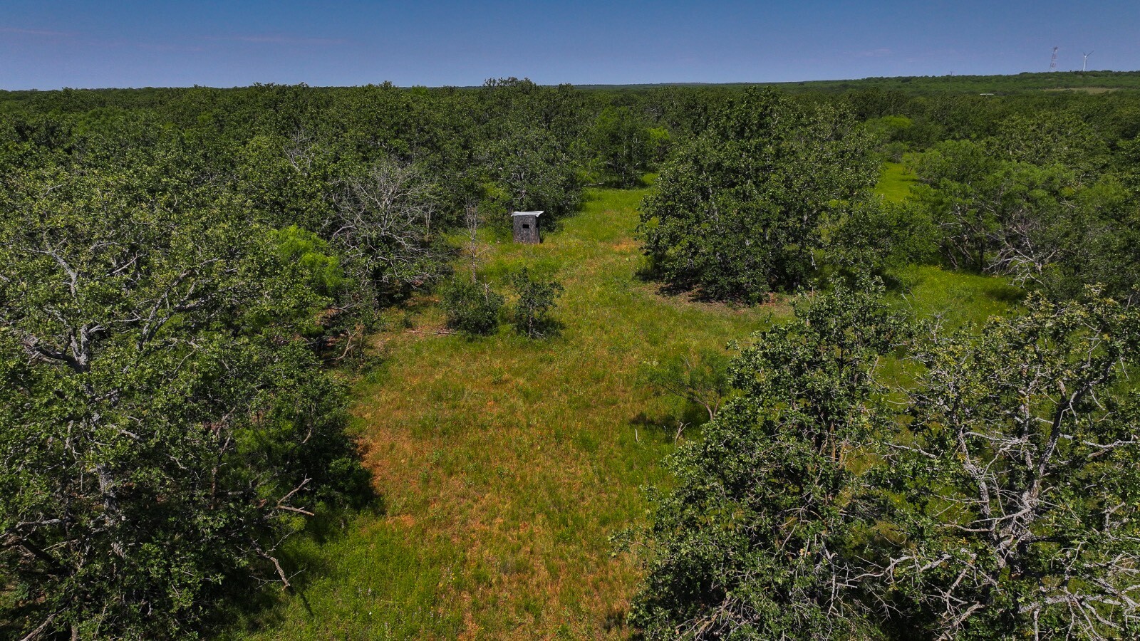 Land for Sale in Young County, TX (52 of 67)