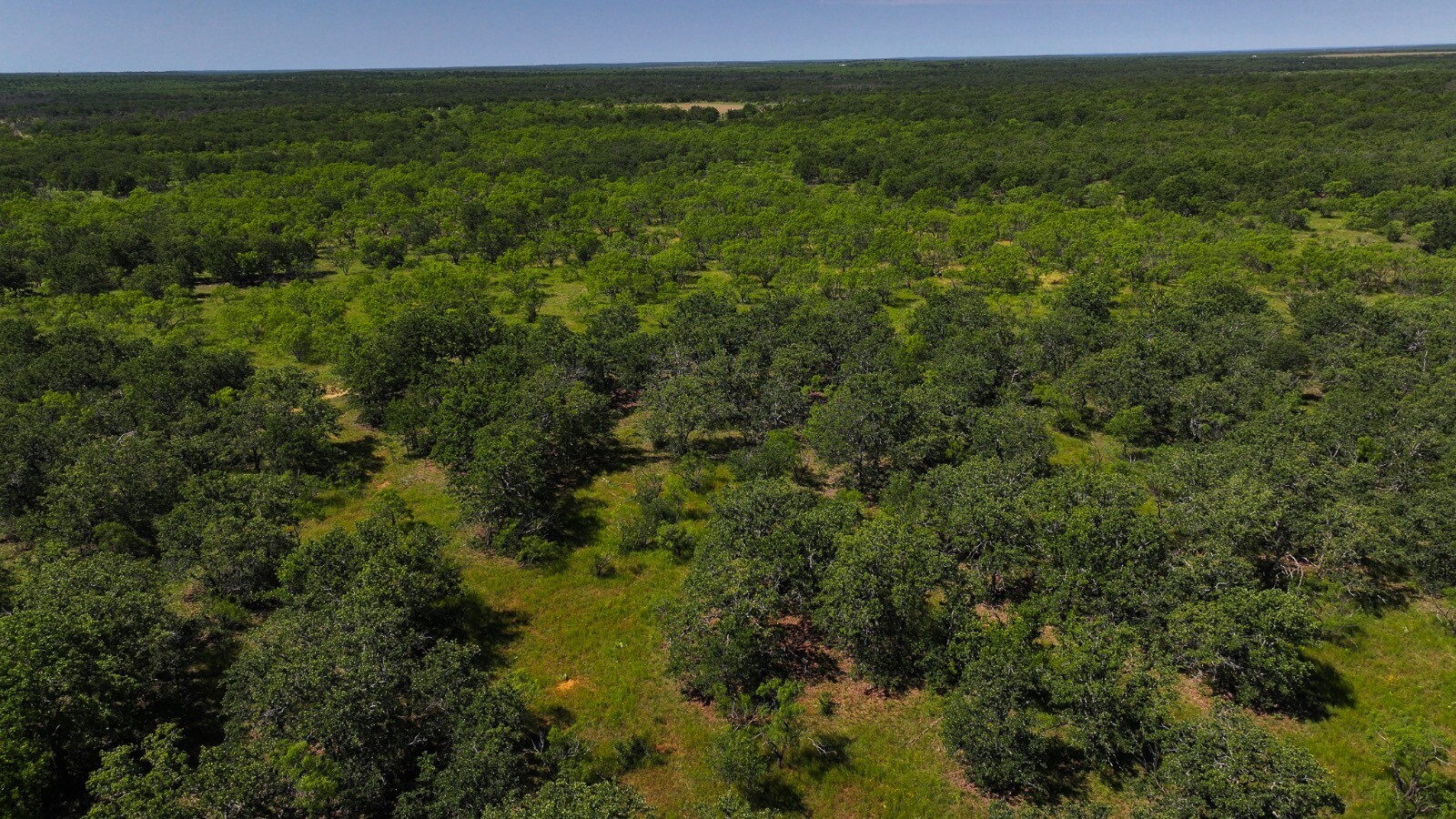 Land for Sale in Young County, TX (53 of 67)