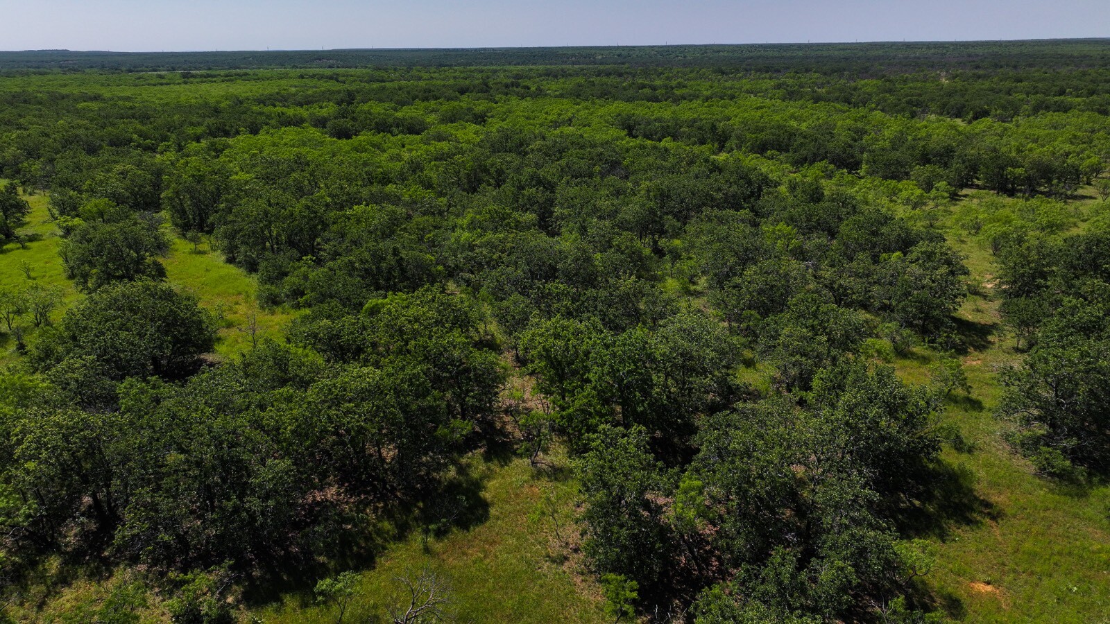 Land for Sale in Young County, TX (54 of 67)