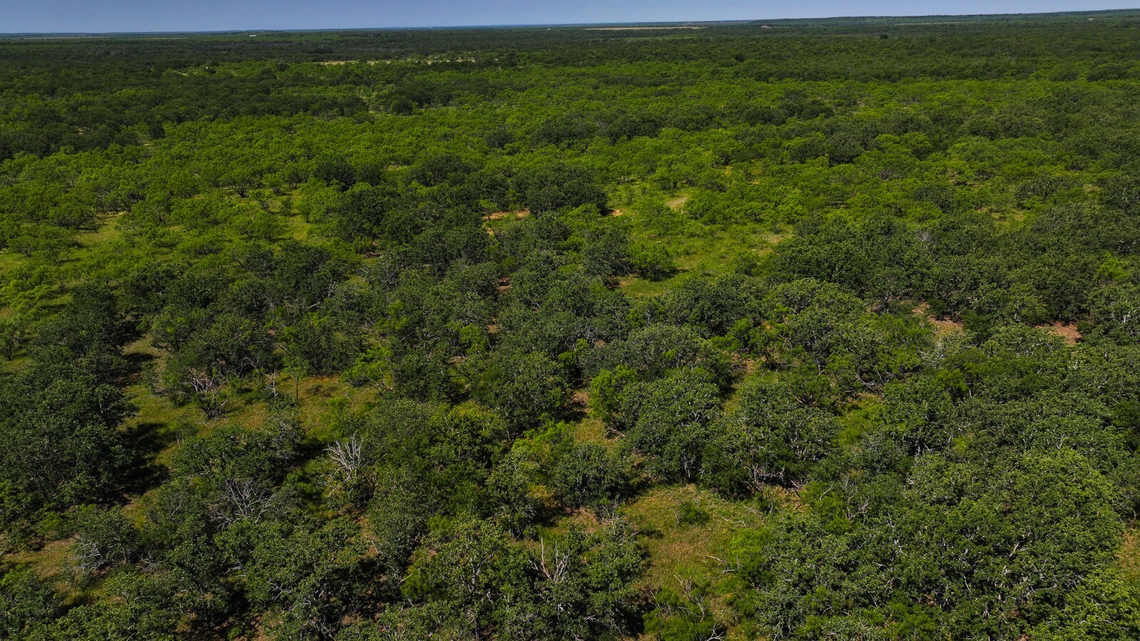 Land for Sale in Young County, TX (55 of 67)