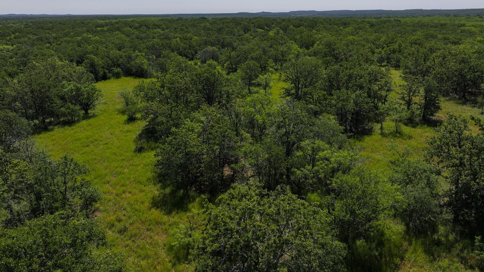 Land for Sale in Young County, TX (56 of 67)