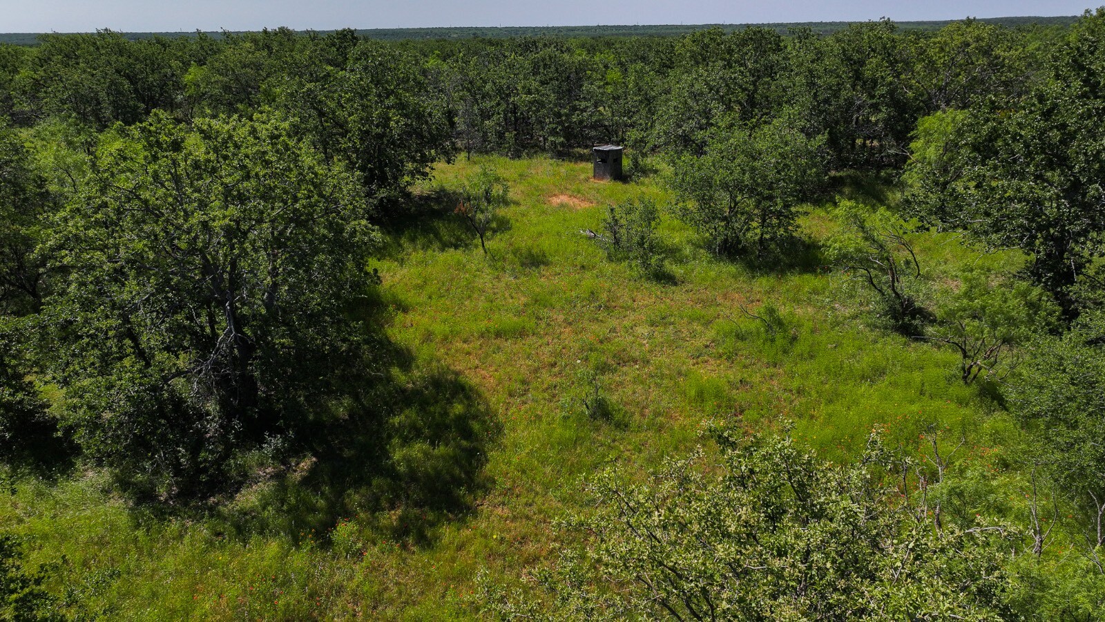 Land for Sale in Young County, TX (61 of 67)