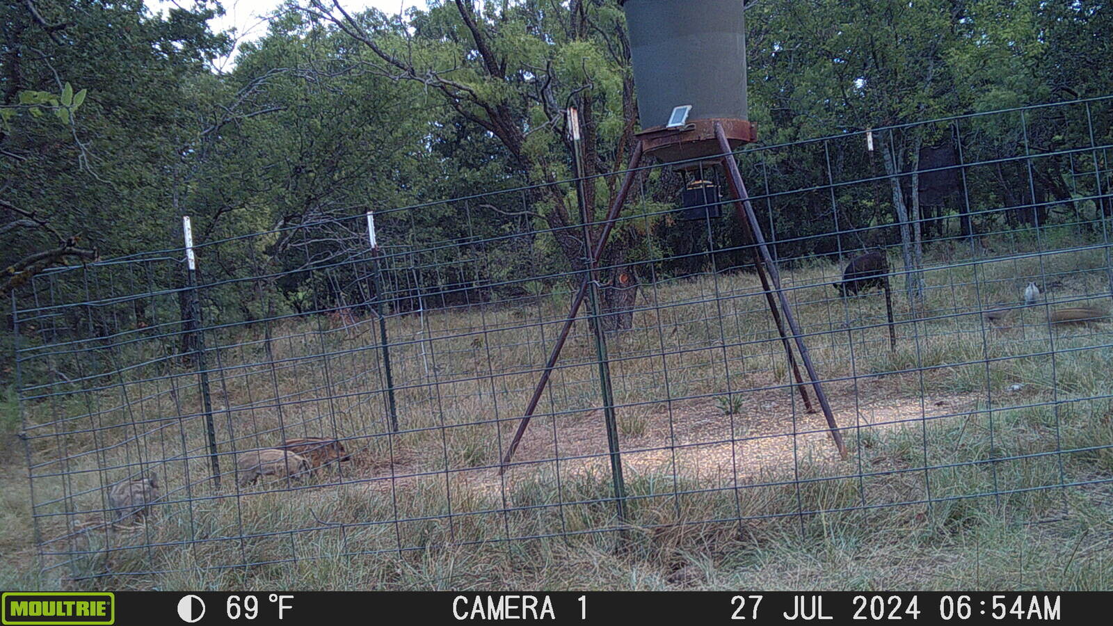 Land for Sale in Young County, TX (62 of 67)