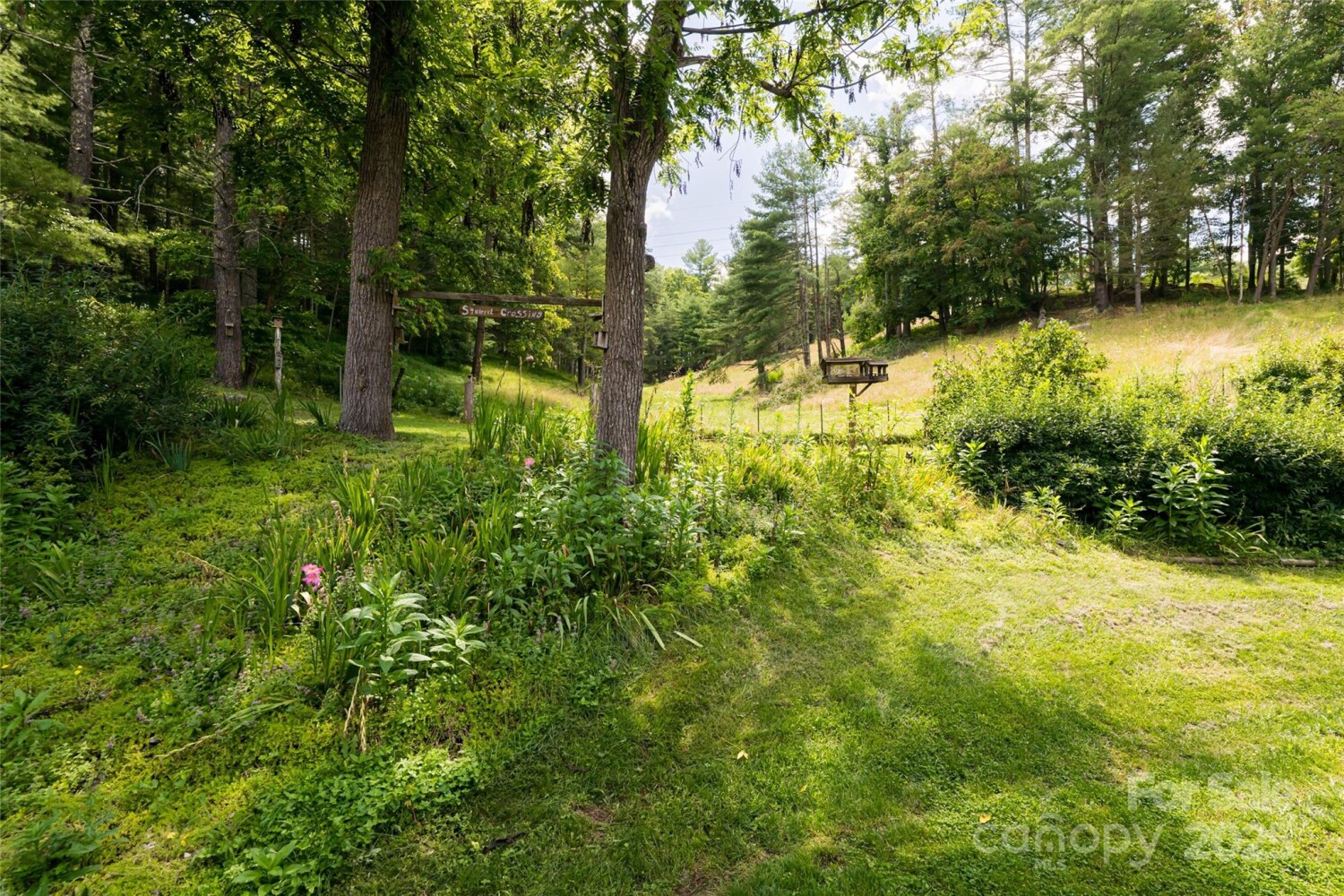 Land for Sale in Buncombe County, NC (20 of 47)