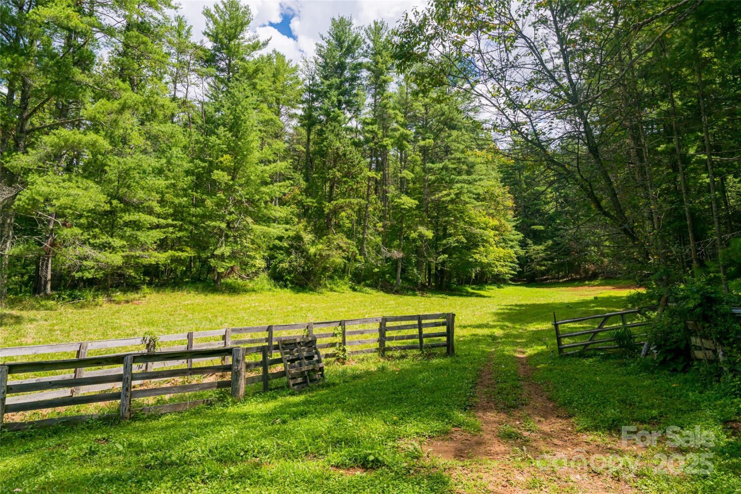 Land for Sale in Buncombe County, NC (31 of 47)