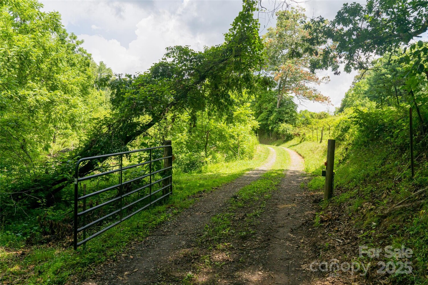Land for Sale in Buncombe County, NC (35 of 47)