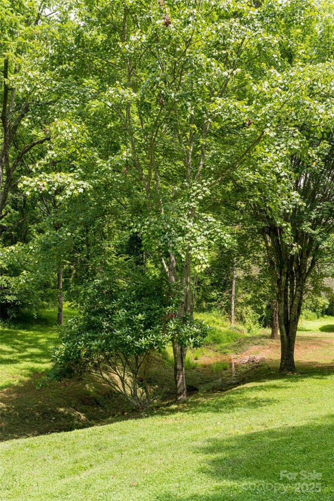 Land for Sale in Buncombe County, NC (36 of 47)