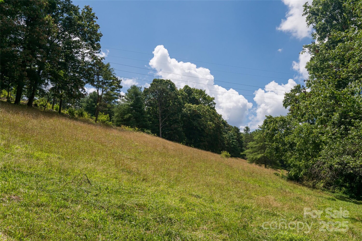 Land for Sale in Buncombe County, NC (37 of 47)
