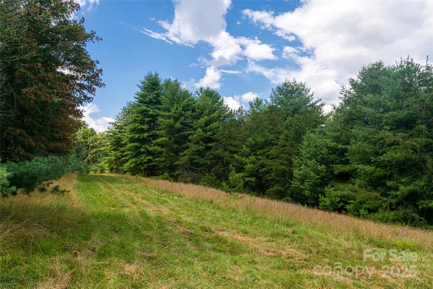 Land for Sale in Buncombe County, NC (39 of 47)