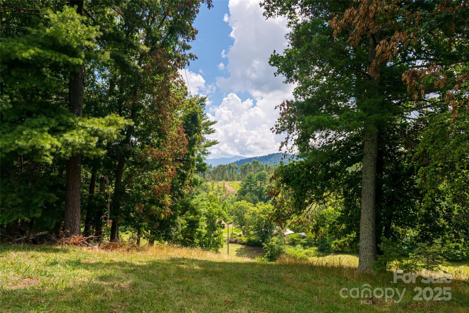 Land for Sale in Buncombe County, NC (40 of 47)