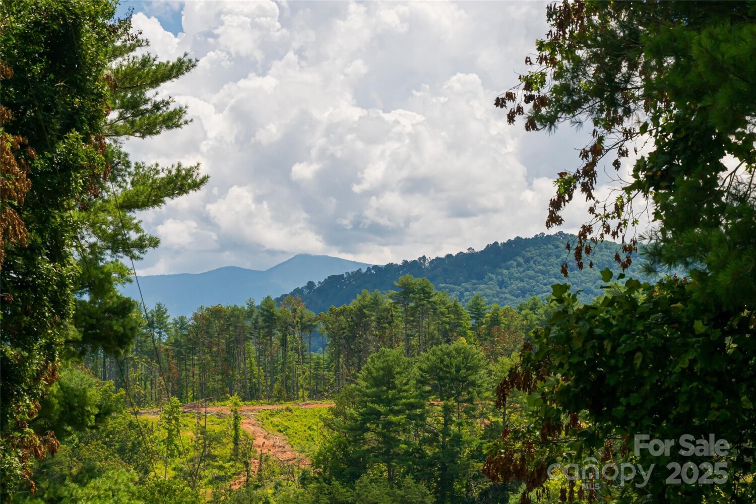 Land for Sale in Buncombe County, NC (41 of 47)