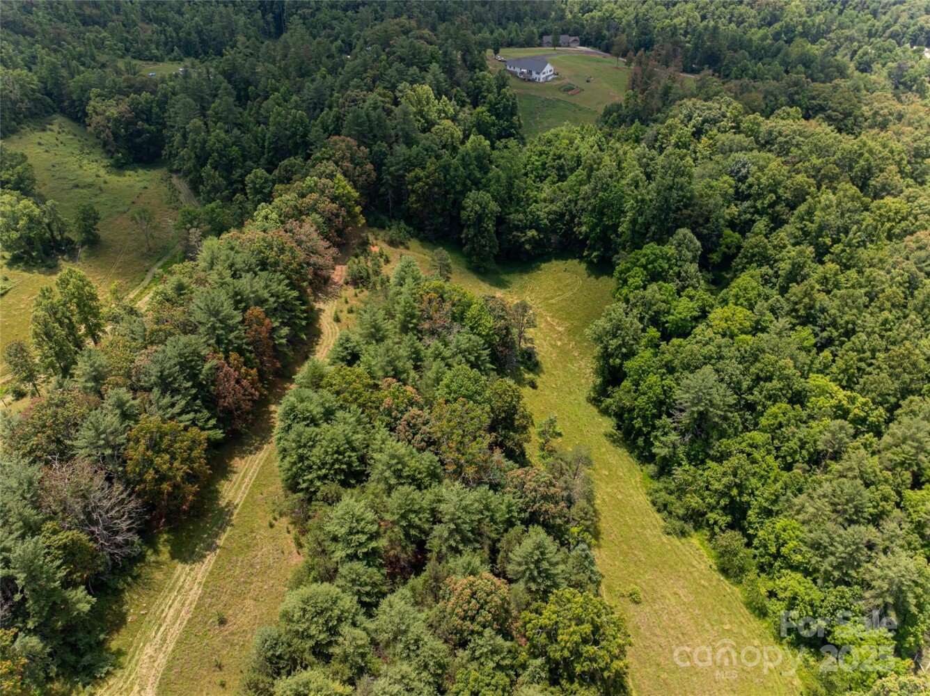 Land for Sale in Buncombe County, NC (45 of 47)