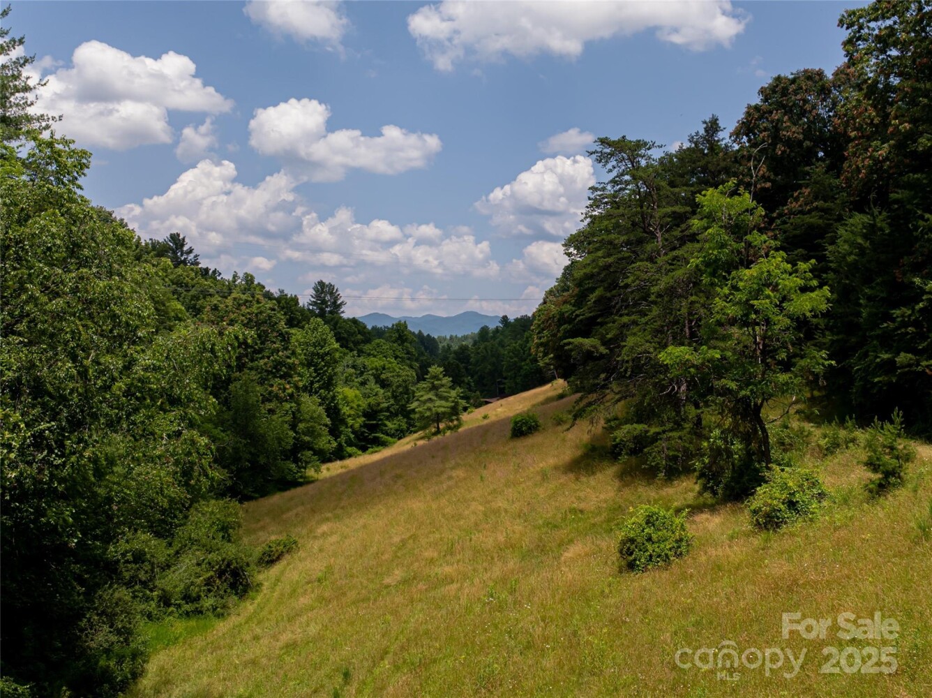 Land for Sale in Buncombe County, NC (46 of 47)