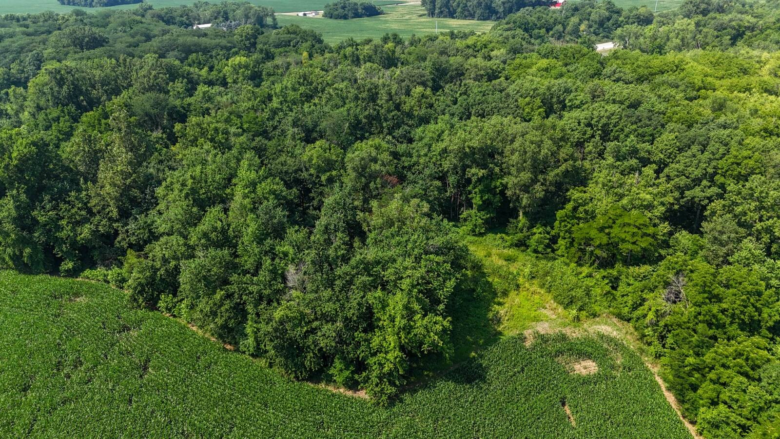 Land for Sale in Whitley County, IN (4 of 14)