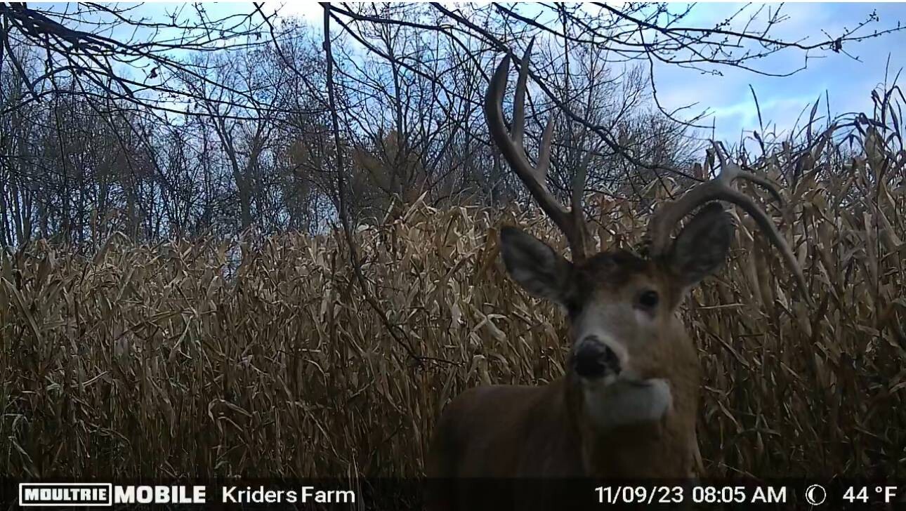 Land for Sale in Whitley County, IN (13 of 14)