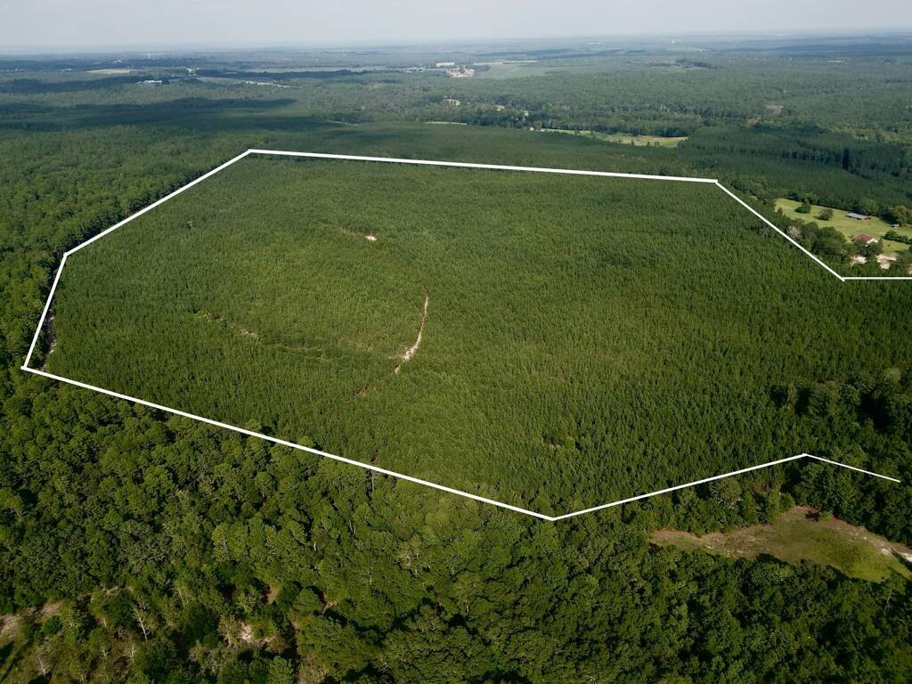 Land for Sale in Aiken County, SC (1 of 35)