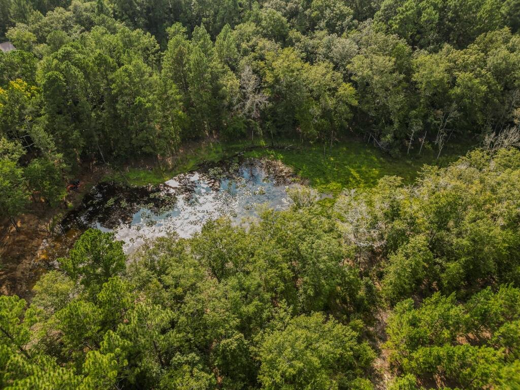 Land for Sale in Aiken County, SC (2 of 35)