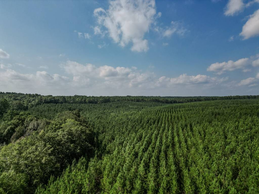Land for Sale in Aiken County, SC (4 of 35)