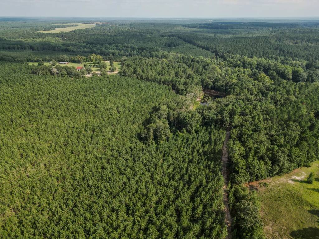 Land for Sale in Aiken County, SC (5 of 35)