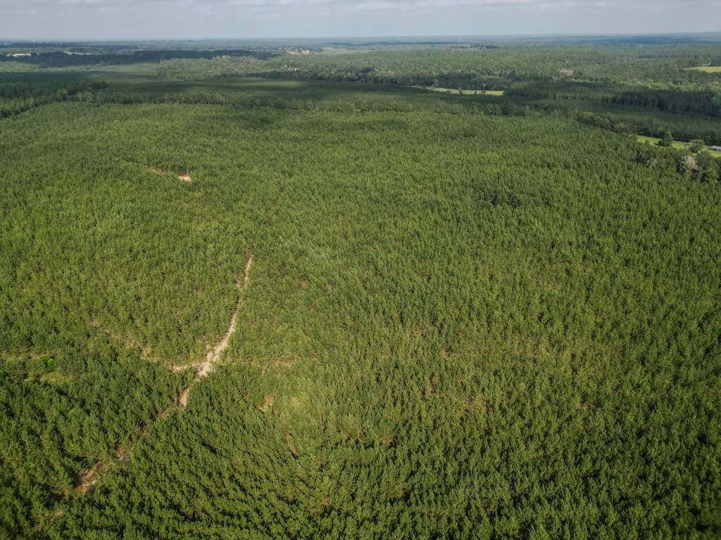 Land for Sale in Aiken County, SC (6 of 35)