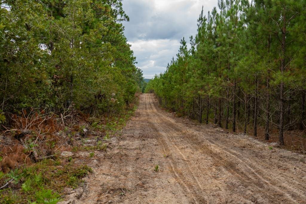 Land for Sale in Aiken County, SC (9 of 35)