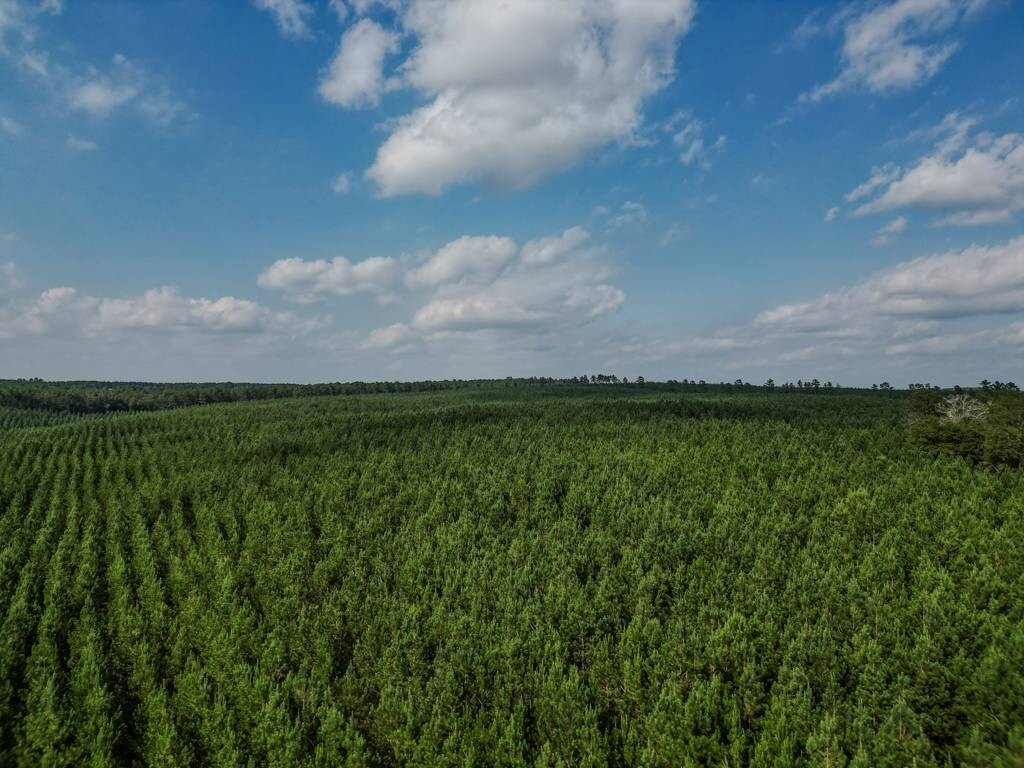 Land for Sale in Aiken County, SC (11 of 35)