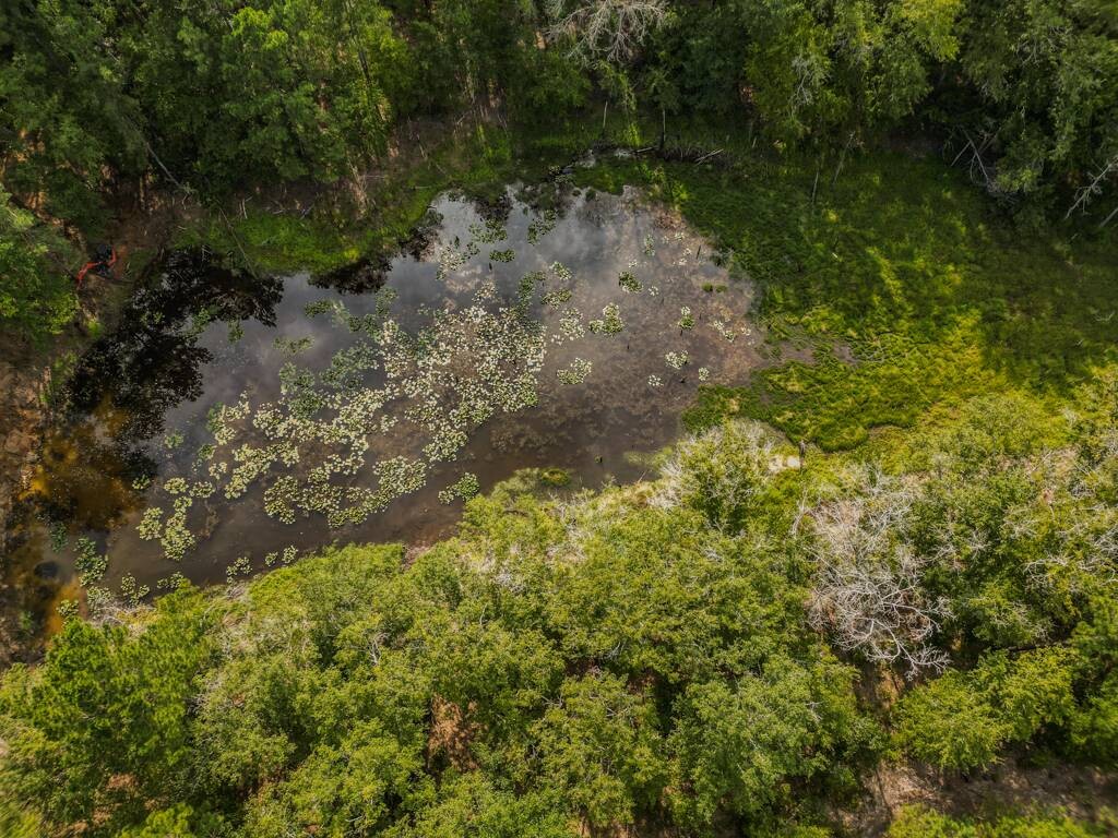 Land for Sale in Aiken County, SC (12 of 35)