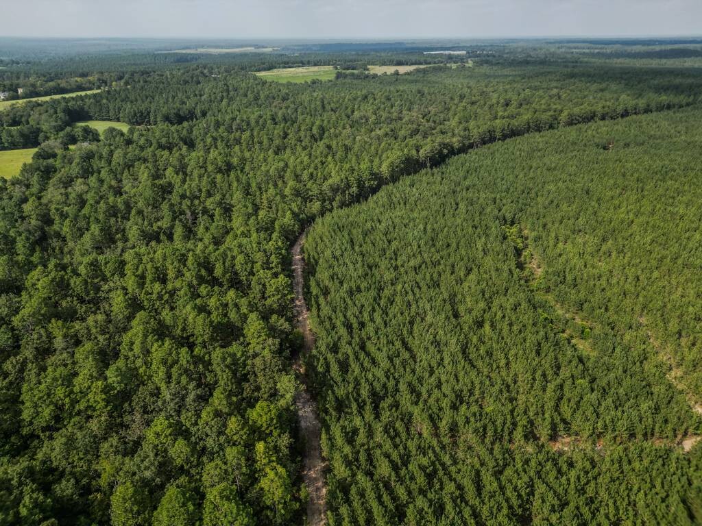 Land for Sale in Aiken County, SC (14 of 35)