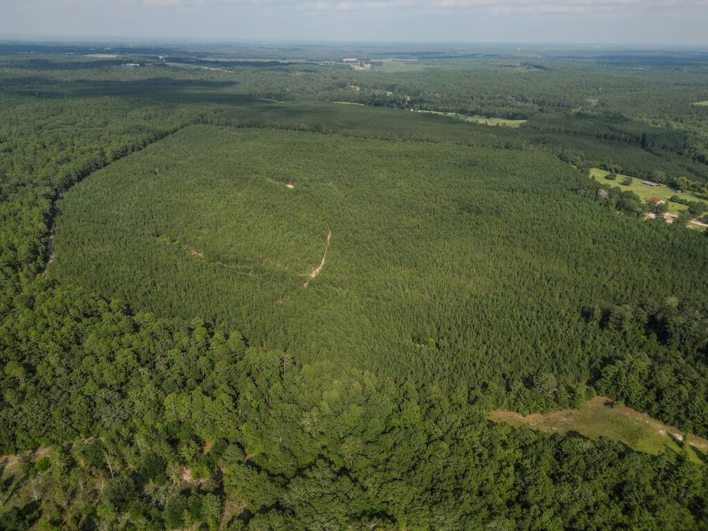 Land for Sale in Aiken County, SC (15 of 35)