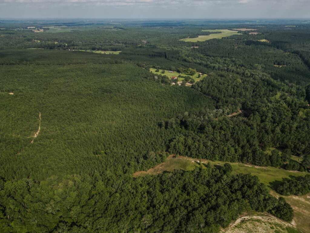 Land for Sale in Aiken County, SC (16 of 35)
